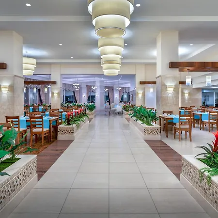 Saphir & 5* Okurcalar